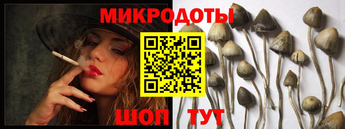 Галлюциногенные грибы Psilocybine cubensis Магадан