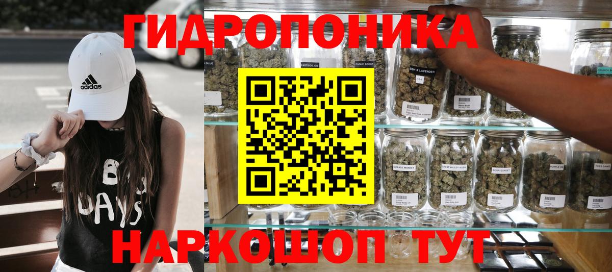 Канабис SATIVA & INDICA  Вход с VPN  Марихуана семена  Магадан  МАРИХУАНА Amnesia 
